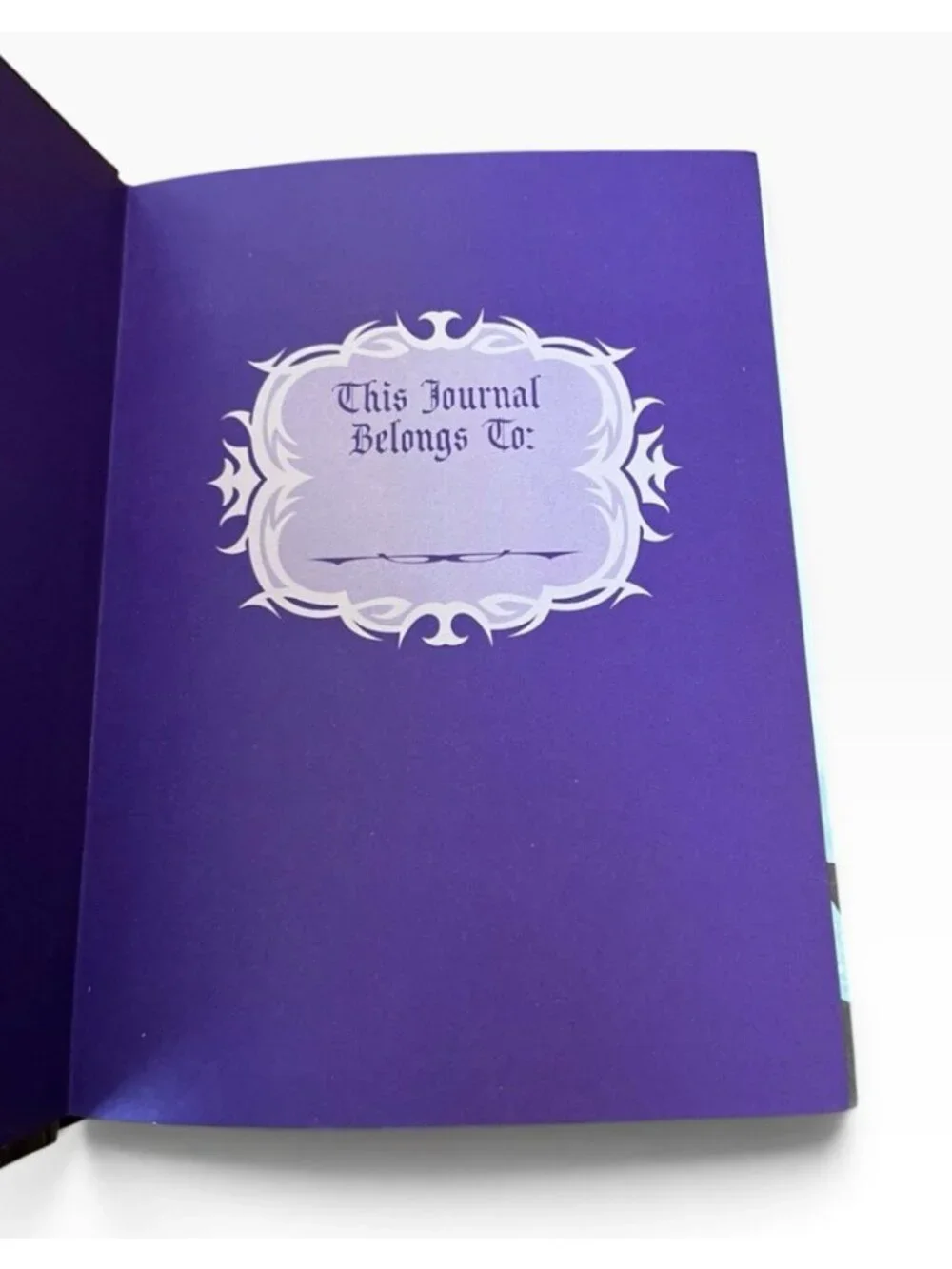 Disney Classic Villains Journal Ursula Maleficent Cruella Evil Queen